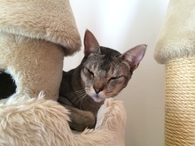 IMG_0497