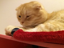 IMG_4756