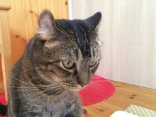 IMG_6317