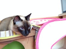IMG_0635