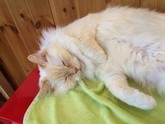 IMG_0656