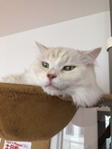 IMG_0011