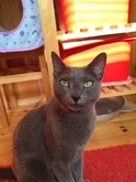IMG_1880