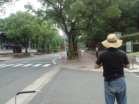 県警8