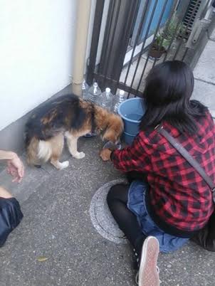 迷子