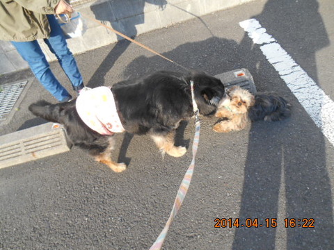 DSCN0750