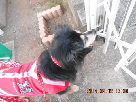 DSCN0683