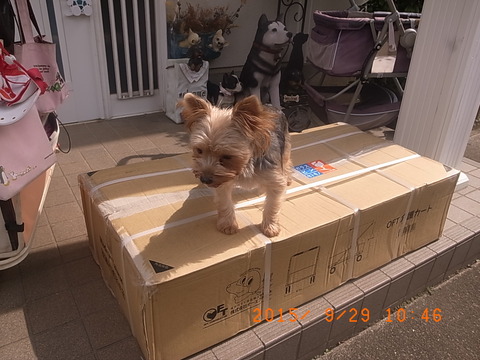 R9308706