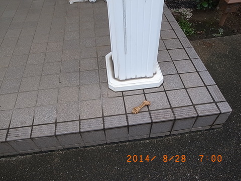 R9304310