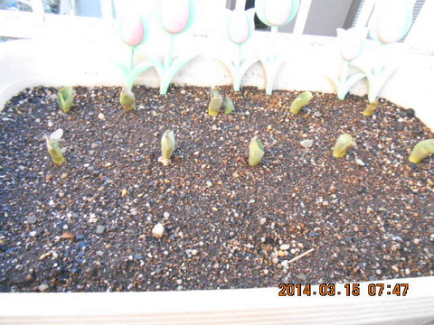 DSCN0255