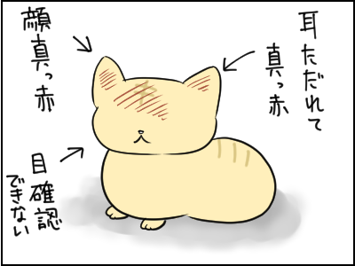 ねこ1