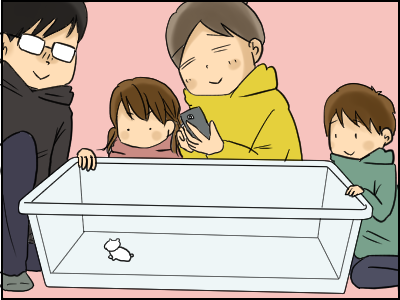 ハムスター1