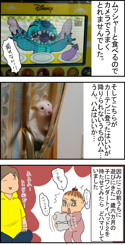 ワントイ5