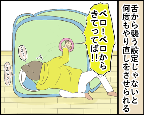 テント6