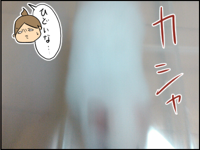 ハムスター7
