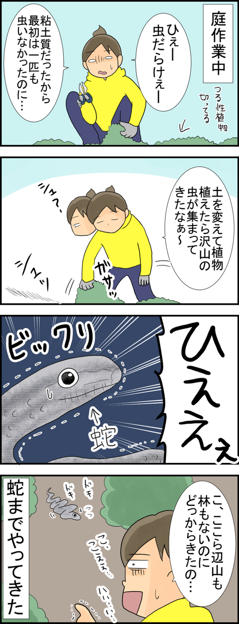 蛇
