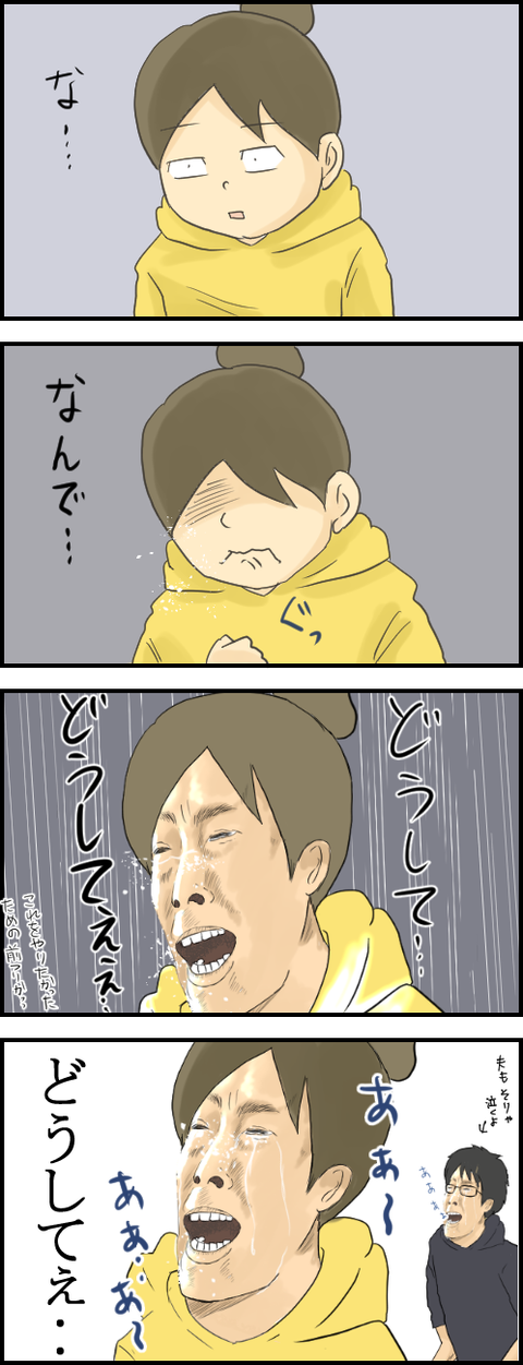どうしてぇ4