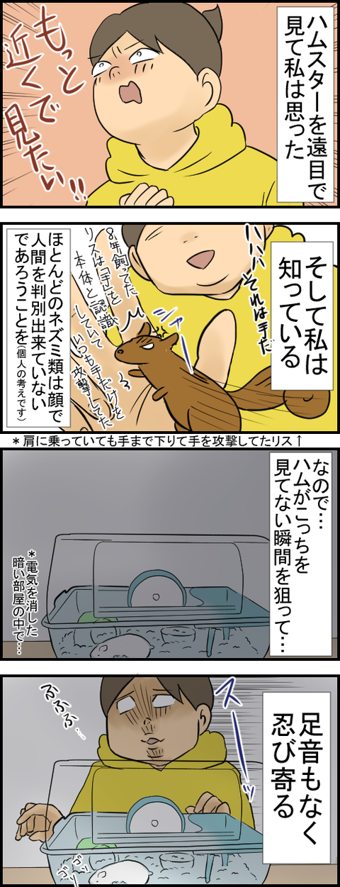 ハムスター111