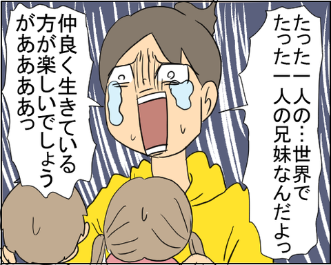 兄妹3