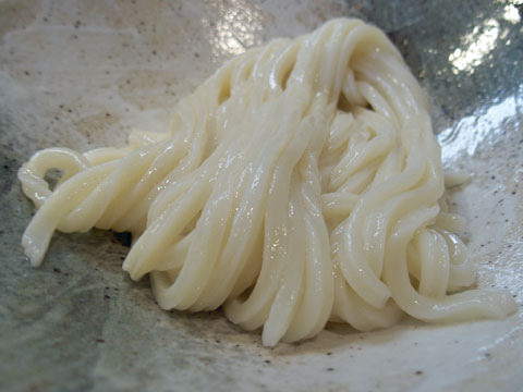 tenkomori1
