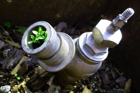 sprinkler1