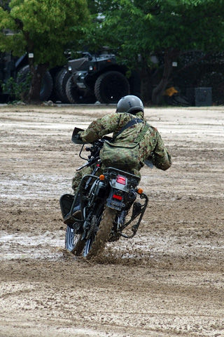 sdf3