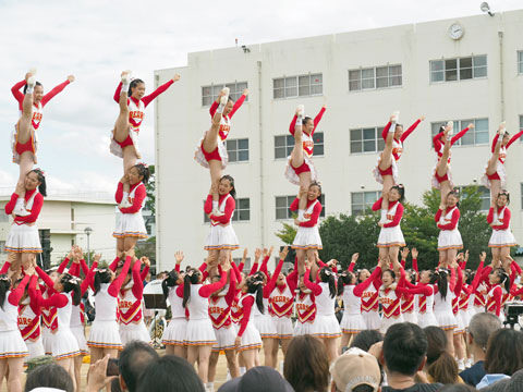sdf21