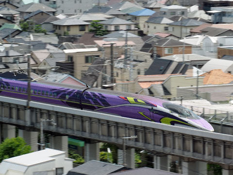 5006