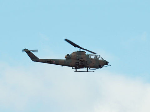 sdf03