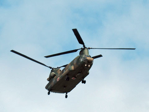 sdf05