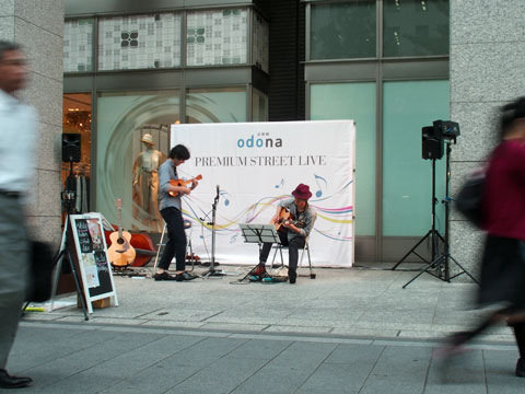 odona12