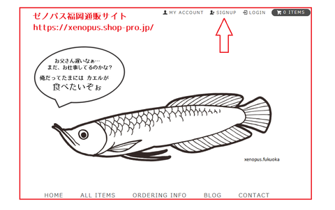 22 ②