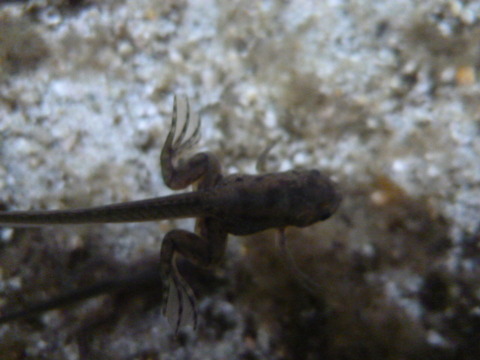 P1030720
