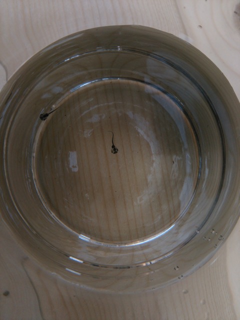 12 ②