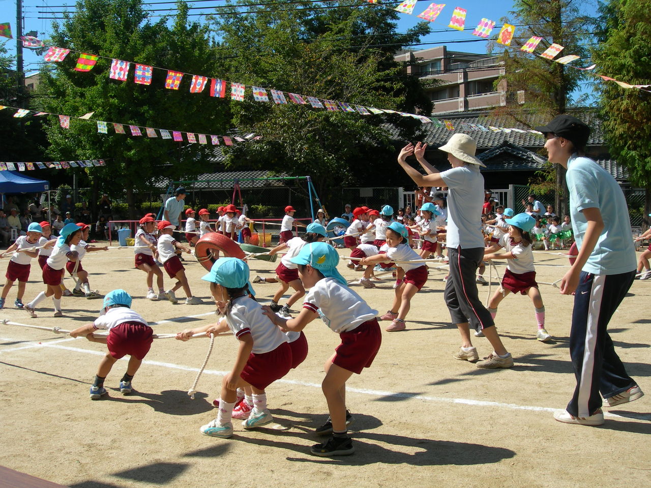 DSCN3542