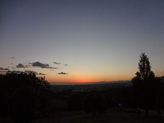 DSC01369