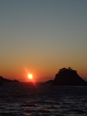 DSC01238