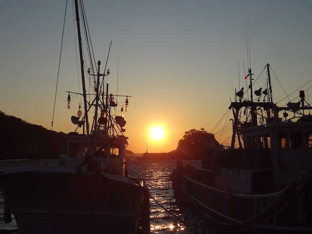 DSC01211