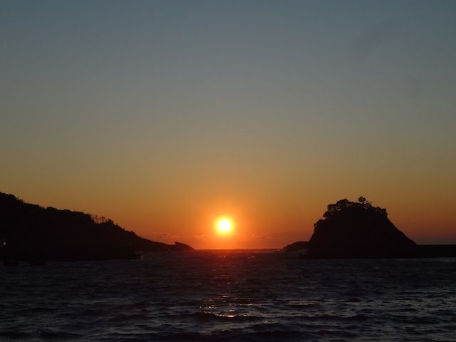 DSC01230