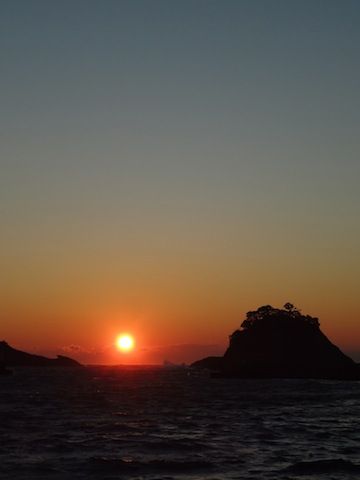 DSC01239