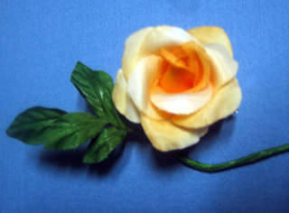 ¥Í¥¯¥¿¥¤¤ÎÄù¤áÊý ¥Í¥¯¥¿¥¤¤Î·ë¤ÓÊý ¥Í¥¯¥¿¥¤¤Î´¬¤Êý ¥ª¥ì¥ó¥¸¥Ð¥é