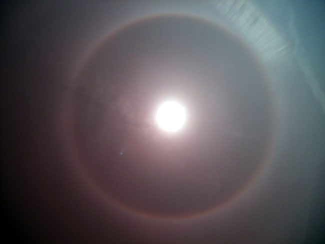 DSCF4890