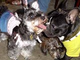 blog222