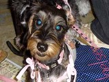 blog223