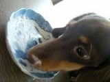 blog233