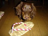 blog208