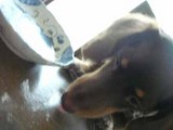 blog234