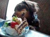blog230