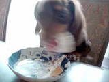 blog232