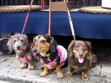 blog221